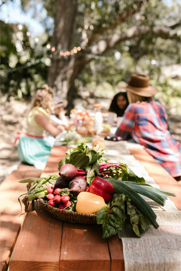 Farm-to-Table Experience